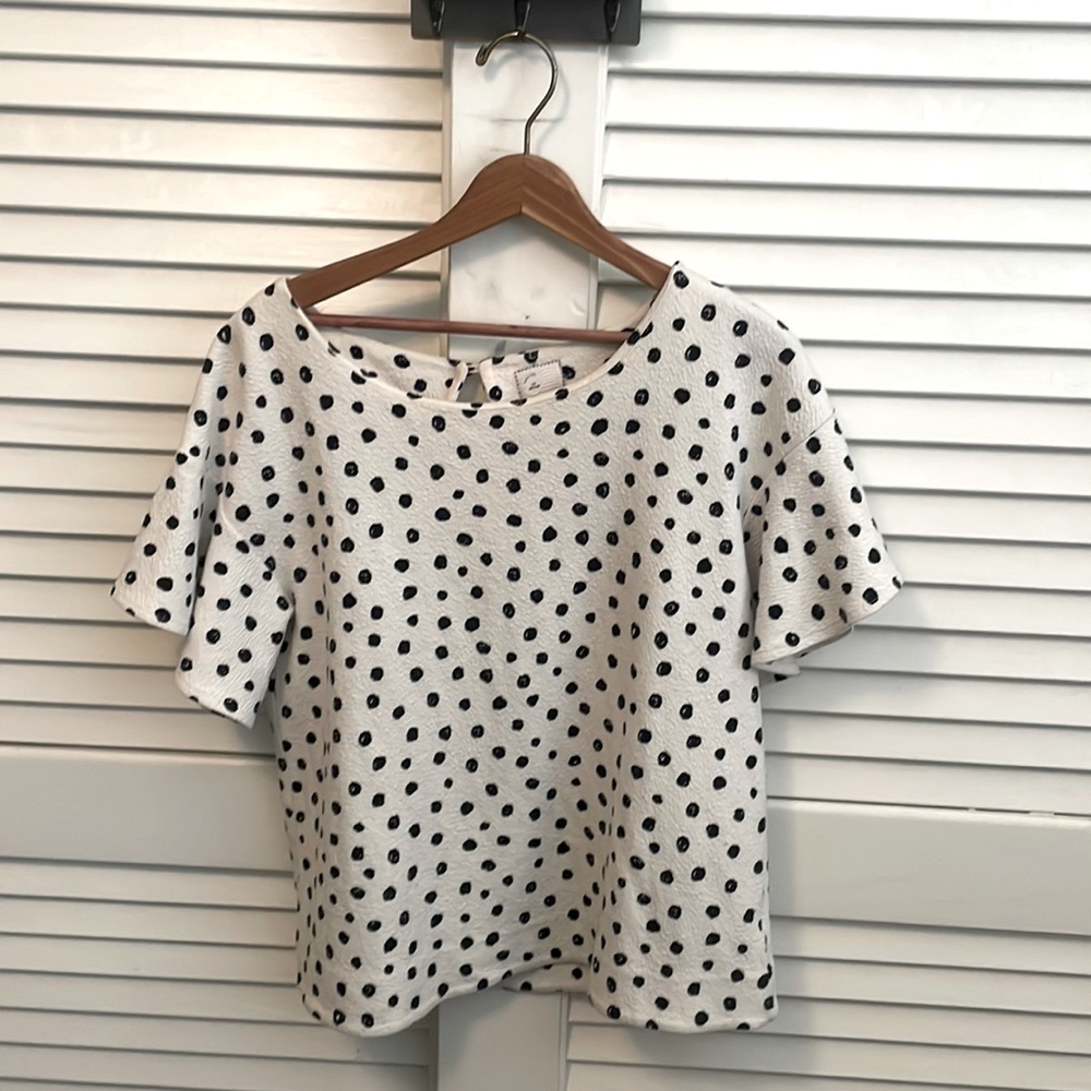Anthropologie Postcard Polka Dot Top Size Medium